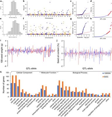 Identification of QTL-allele systems of seed size and oil content for simultaneous genomic improvement in Northeast China soybeans